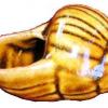 Coquille à escargot en grès de couleur brun miel